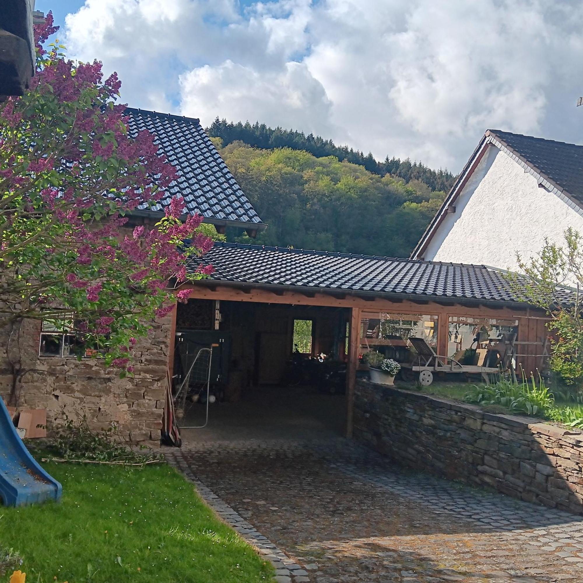 Eifler Brunnenhaus Villa Dumpelfeld Exterior photo